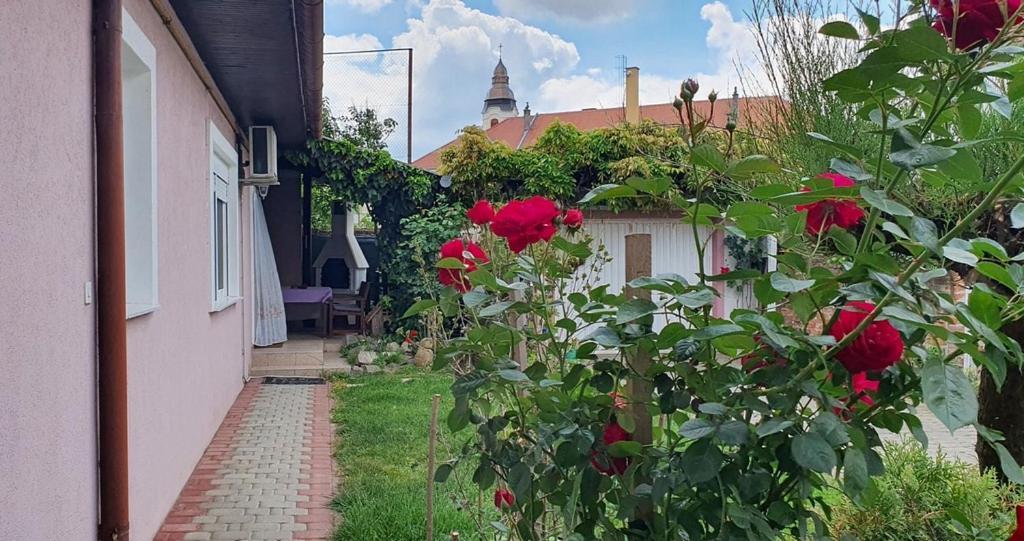 Apartman Ksenija Ðakovo Exteriör bild